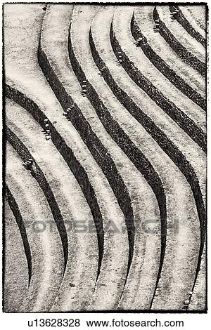 Stock Photo - Monochrome aerial detail view of Moray Inca agricultural terraces in large circular patterns, Maras, Sacred Valley, Peru. Fotosearch