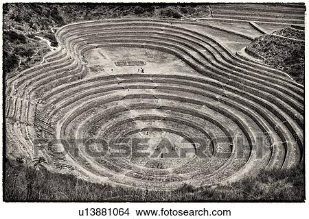 Picture - Monochrome aerial view of Moray Inca agricultural terraces in large circular patterns, Maras, Sacred Valley, Peru. Fotosearch