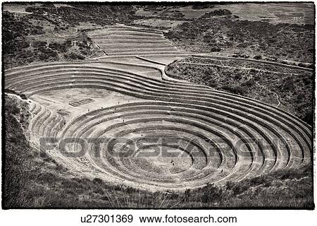 Stock Photo - Monochrome aerial view of Moray Inca agricultural terraces in large circular patterns, Maras, Sacred Valley, Peru. Fotosearch