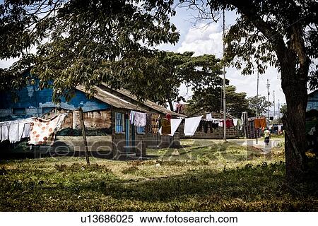 Nakuru town: laundry hanging in front of brightly painted brick houses, woman in street, scene framed by trees, Nakuru, Kenya, View Large Photo Image Stock Photography - Nakuru town: laundry hanging in front of brightly painted brick houses, woman in street, scene framed by trees, Nakuru, Kenya,. Fotosearch