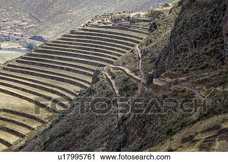 Pisac ruins: view of agricultural terracing of Inca citadel with mountains of Sacred Valley beyond, sunny afternoon, Sacred Valley, Cuzco, Peru View Large Photo Image Stock Image - Pisac ruins: view of agricultural terracing of Inca citadel with mountains of Sacred Valley beyond, sunny afternoon, Sacred Valley, Cuzco, Peru. Fotosearch