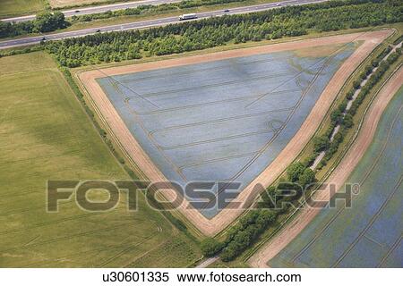 Aerial view of crop fields View Large Photo Image Stock Photography - Aerial view of crop fields. Fotosearch