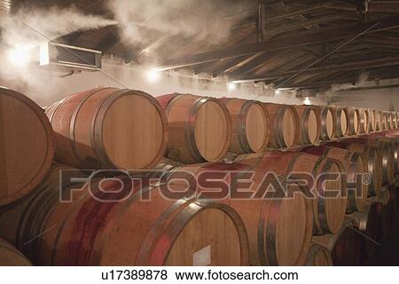 Stock Photo - Barrels of wine in cellar. Fotosearch