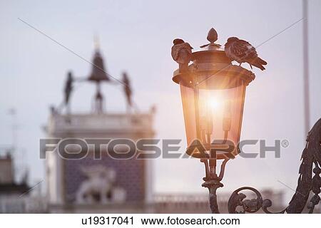 Stock Image - Birds sitting on urban streetlight. Fotosearch