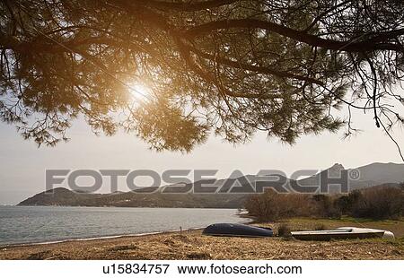 Canoes docked on beach by lake View Large Photo Image Stock Photo - Canoes docked on beach by lake. Fotosearch
