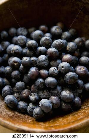 Picture - Close up of bowl of blueberries. Fotosearch