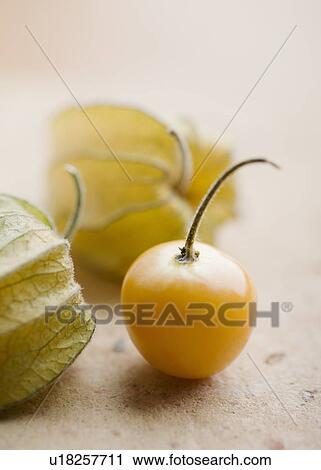 Close up of cherry tomato View Large Photo Image Stock Image - Close up of cherry tomato. Fotosearch