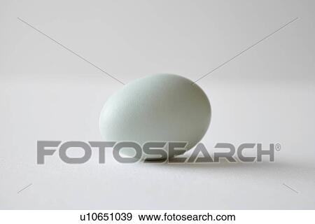 Stock Photo - Close up of egg on countertop. Fotosearch