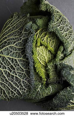 Stock Photo - Close up of head of cabbage. Fotosearch