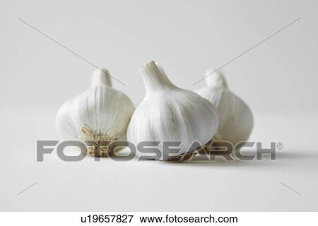 Stock Photo - Close up of heads of garlic. Fotosearch