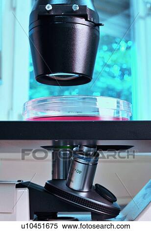 Close up of microscope in lab View Large Photo Image Stock Photography - Close up of microscope in lab. Fotosearch