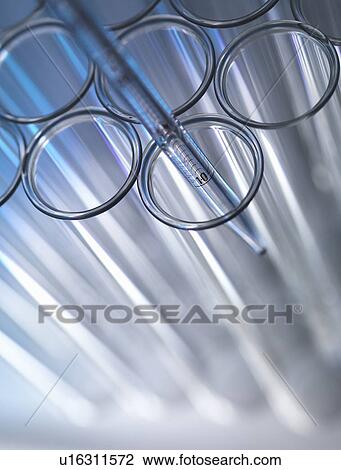 Close up of pipette in test tube View Large Photo Image Stock Image - Close up of pipette in test tube. Fotosearch