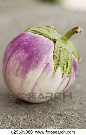 Stock Image - Close up of purple berry. Fotosearch
