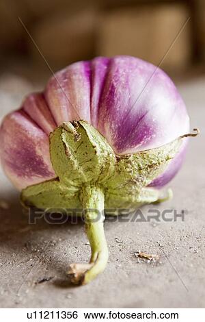 Close up of purple berry View Large Photo Image Stock Photograph - Close up of purple berry. Fotosearch