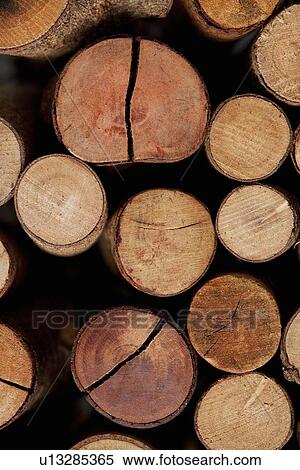 Close up of stacked logs View Large Photo Image Stock Photography - Close up of stacked logs. Fotosearch
