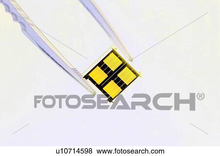 Close up of tweezers holding microchip View Large Photo Image Stock Photo - Close up of tweezers holding microchip. Fotosearch