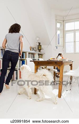 Family playing with dog in kitchen View Large Photo Image Picture - Family playing with dog in kitchen. Fotosearch