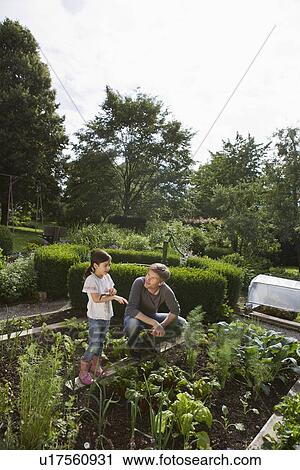 Father and daughter gardening together View Large Photo Image Stock Image - Father and daughter gardening together. Fotosearch