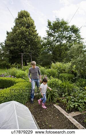 Father and daughter gardening together View Large Photo Image Stock Photo - Father and daughter gardening together. Fotosearch
