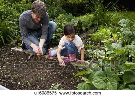Father and daughter gardening together View Large Photo Image Stock Photography - Father and daughter gardening together. Fotosearch