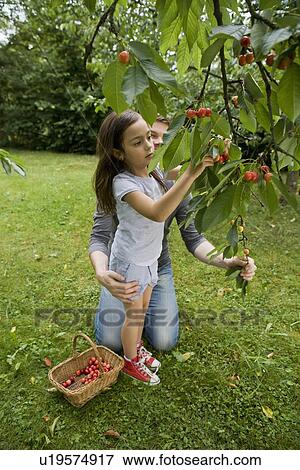 Stock Photo - Father and daughter picking fruit. Fotosearch