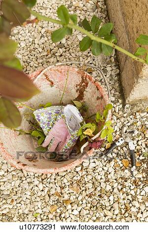 Gardening gloves in pail outdoors View Large Photo Image Stock Image - Gardening gloves in pail outdoors. Fotosearch