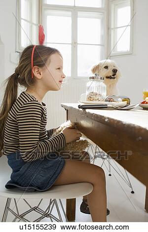 Girl and dog sitting at table in kitchen View Large Photo Image Stock Photo - Girl and dog sitting at table in kitchen. Fotosearch
