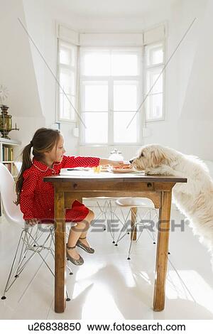 Stock Image - Girl feeding dog at table. Fotosearch