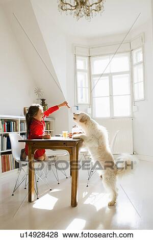Stock Photo - Girl feeding dog at table. Fotosearch