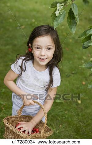 Picture - Girl gathering fruit in basket. Fotosearch