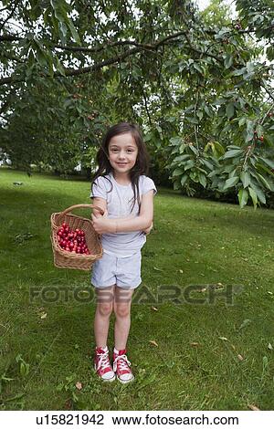 Girl gathering fruit in basket View Large Photo Image Stock Image - Girl gathering fruit in basket. Fotosearch