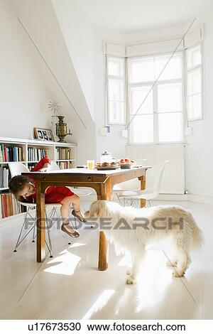 Girl playing with dog at kitchen table View Large Photo Image Stock Image - Girl playing with dog at kitchen table. Fotosearch