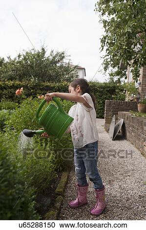 Girl watering plants in backyard View Large Photo Image Stock Image - Girl watering plants in backyard. Fotosearch