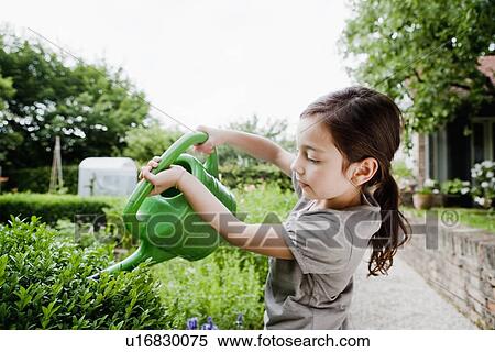Girl watering plants in backyard View Large Photo Image Stock Photography - Girl watering plants in backyard. Fotosearch