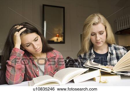 Girls studying together indoors View Large Photo Image Stock Photograph - Girls studying together indoors. Fotosearch