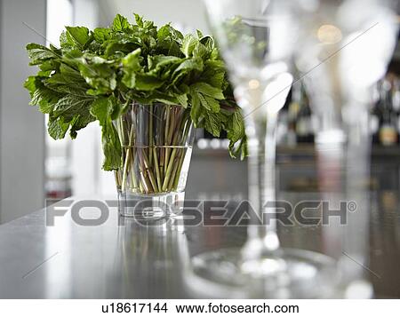Herbs in glass of water in kitchen View Large Photo Image Picture - Herbs in glass of water in kitchen. Fotosearch