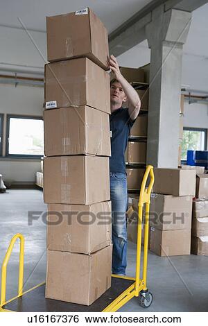 Man stacking cardboard boxes on dolly View Large Photo Image Stock Photograph - Man stacking cardboard boxes on dolly. Fotosearch