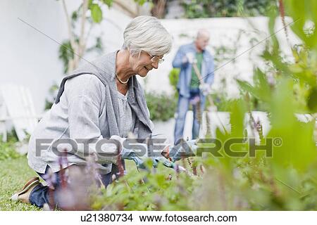 Picture - Older couple gardening in backyard. Fotosearch
