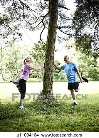 Older couple stretching against tree View Large Photo Image Picture - Older couple stretching against tree. Fotosearch