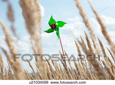 Stock Photo - Pinwheel standing in wheatfield. Fotosearch
