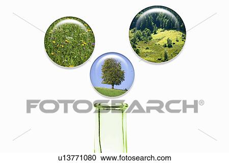Plant bubbles over glass bottle View Large Photo Image Stock Image - Plant bubbles over glass bottle. Fotosearch