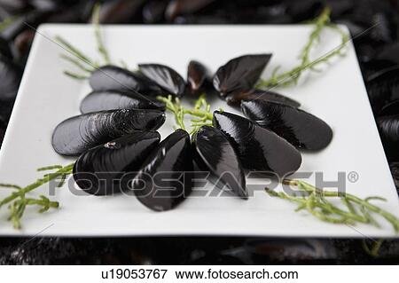 Plate of Mediterranean mussels View Large Photo Image Stock Photo - Plate of Mediterranean mussels. Fotosearch