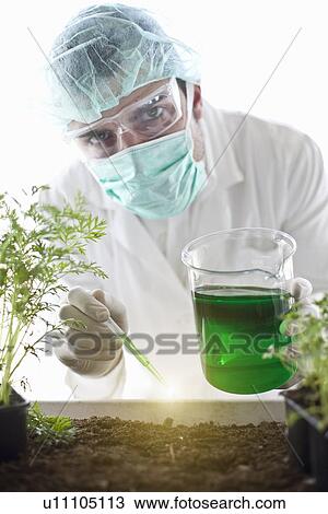 Scientist dropping liquid on plants View Large Photo Image Stock Image - Scientist dropping liquid on plants. Fotosearch