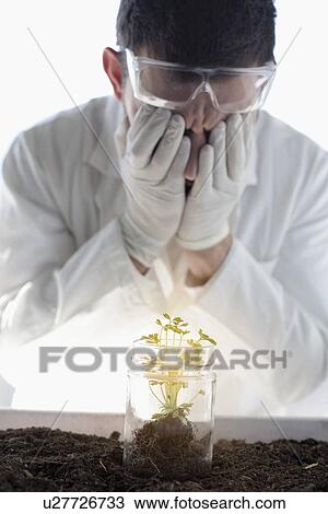 Scientist examining glowing plant in jar View Large Photo Image Stock Image - Scientist examining glowing plant in jar. Fotosearch