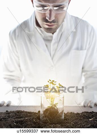 Scientist examining glowing plant in jar View Large Photo Image Stock Photo - Scientist examining glowing plant in jar. Fotosearch