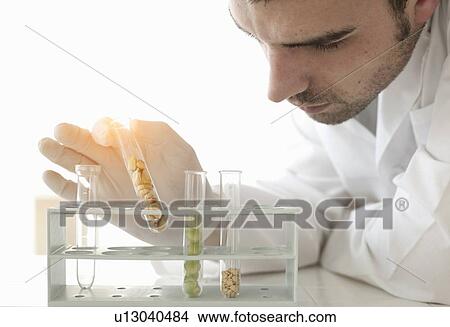 Picture - Scientist examining seeds in test tubes. Fotosearch