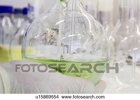 Scientist holding beaker full of liquid View Large Photo Image Picture - Scientist holding beaker full of liquid. Fotosearch