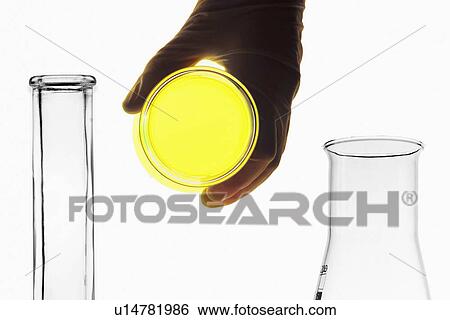 Scientist holding glowing petri dish View Large Photo Image Stock Photograph - Scientist holding glowing petri dish. Fotosearch