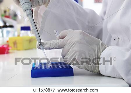 Scientist using pipette and test tube View Large Photo Image Stock Photo - Scientist using pipette and test tube. Fotosearch