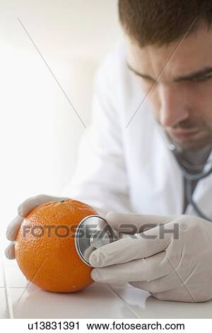 Scientist using stethoscope on orange View Large Photo Image Stock Image - Scientist using stethoscope on orange. Fotosearch